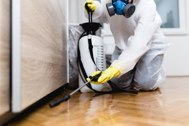 Best Affordable Pest Control Services  in Weedsport, NY