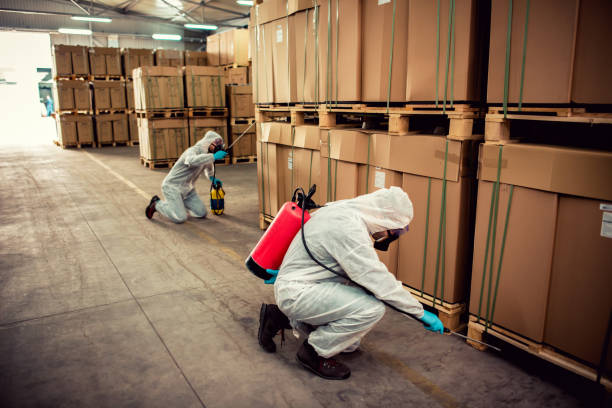 Wildlife Control Services in Weedsport, NY