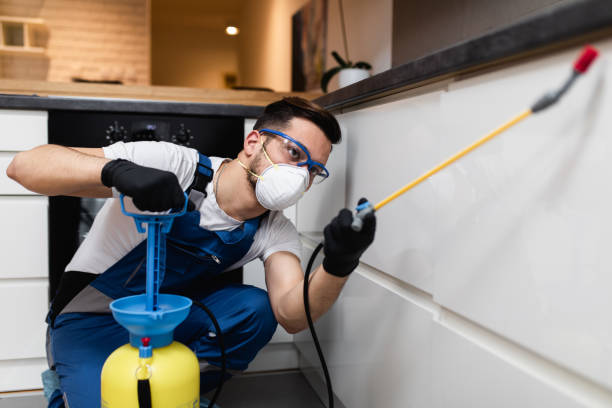 Best Mosquito Control Services  in Weedsport, NY