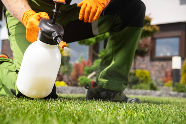 Best Pest Removal Services  in Weedsport, NY