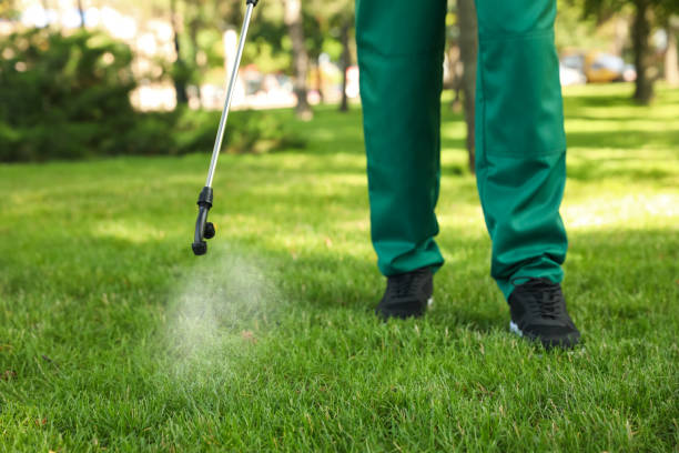 Best Pest Prevention Services  in Weedsport, NY