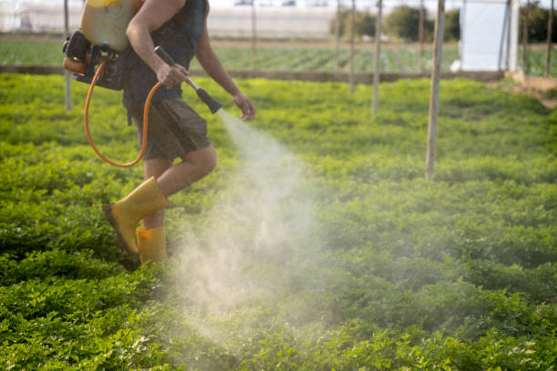 Best Affordable Pest Control Services  in Weedsport, NY