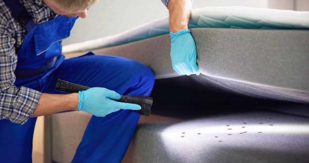 Best Ant Control Services  in Weedsport, NY