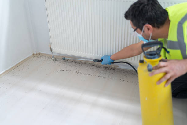 Best Affordable Pest Control Services  in Weedsport, NY
