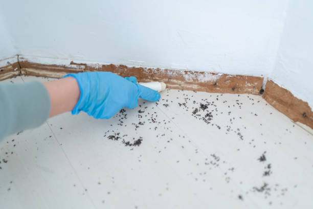 Best Emergency Pest Control  in Weedsport, NY