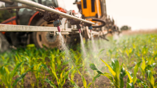Trusted Weedsport, NY Pest Control Experts